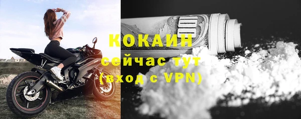 винт Арсеньев