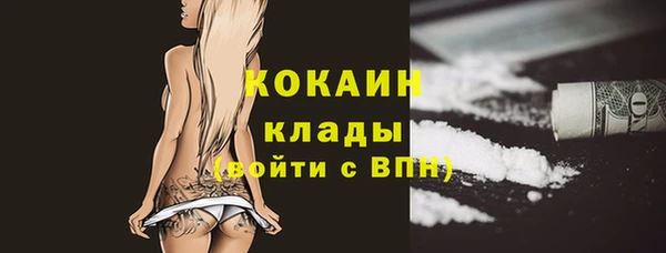 винт Арсеньев