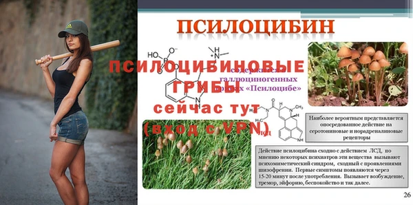 молекула духа Аркадак