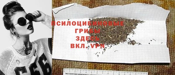 молекула духа Аркадак