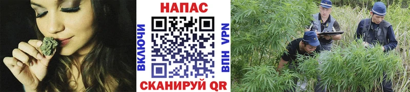 нарко площадка как зайти  Ленск  МАРИХУАНА планчик  hydra ссылка 